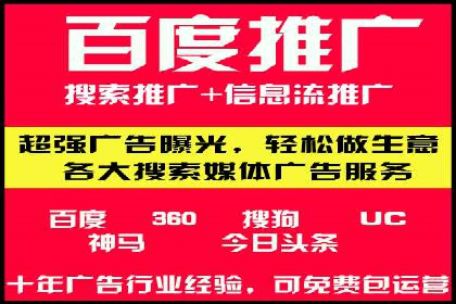 SEM投放策略优化案例分析